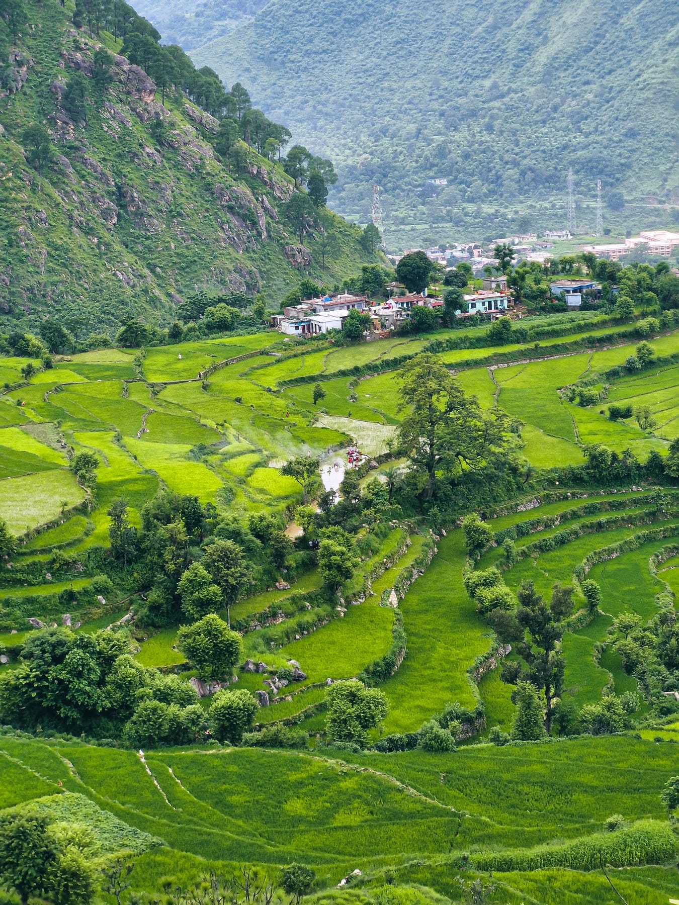 Terraced fields in Uttarakhand seen across a mountain valley